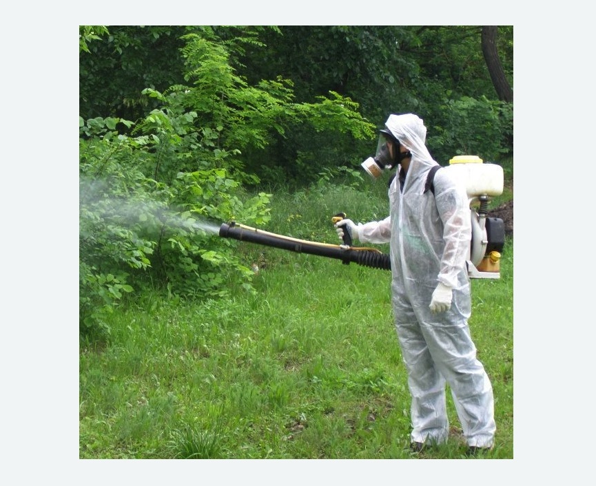 обработка территории от клещей в Калтане