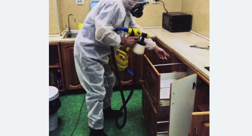 Уничтожение насекомых в квартире. Калтан