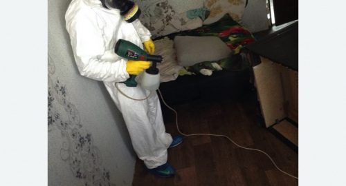 Обработка квартир от насекомых в Калтане