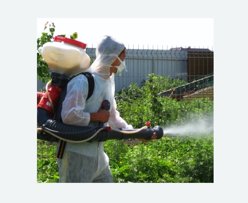 Акарицидная обработка территории в Калтане