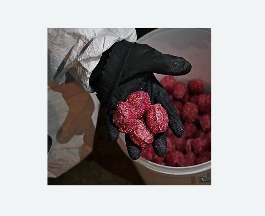 Обработка от крыс в Калтане