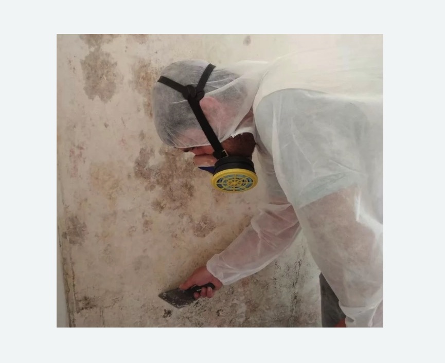 Обработка стен от плесени в Калтане