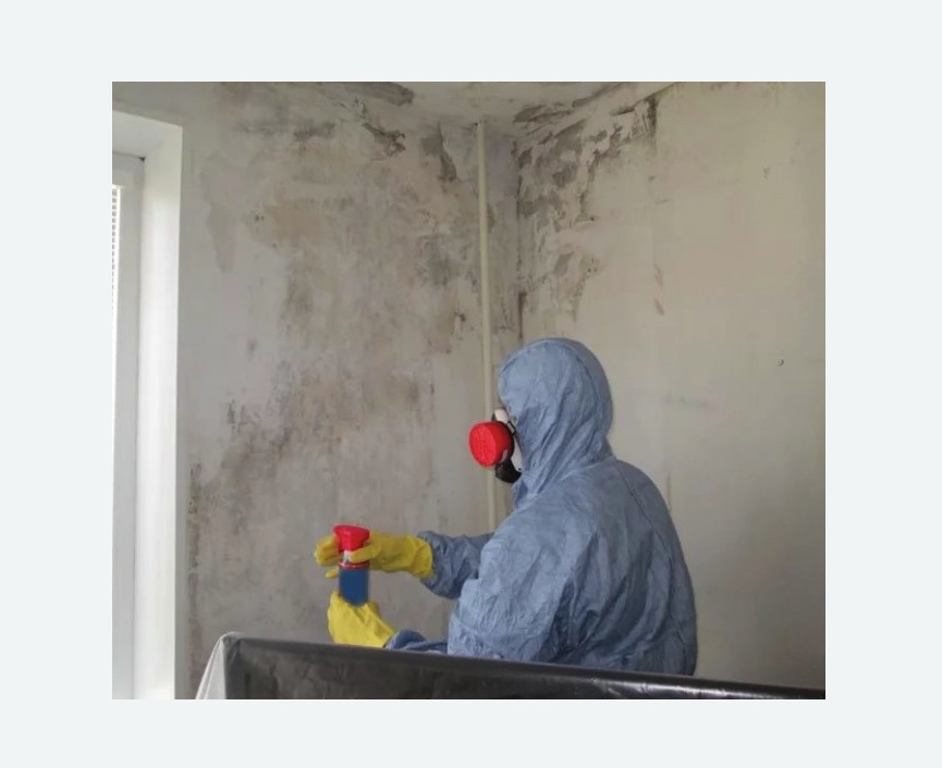 Удаление плесени в квартире в Калтане