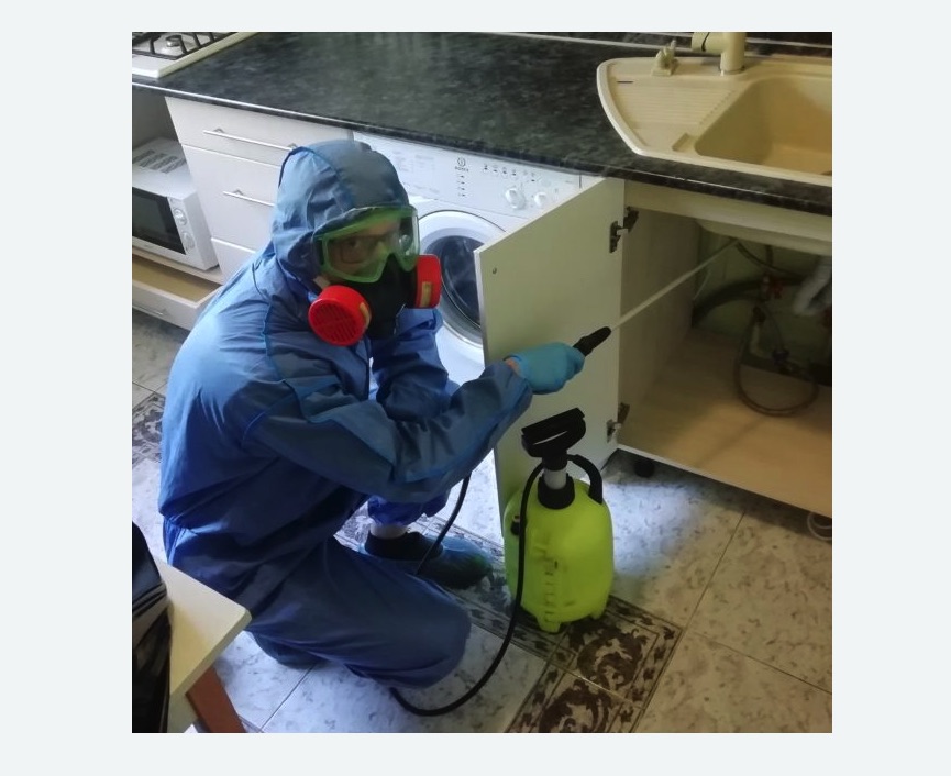 обработка от муравьев в квартире в Калтане