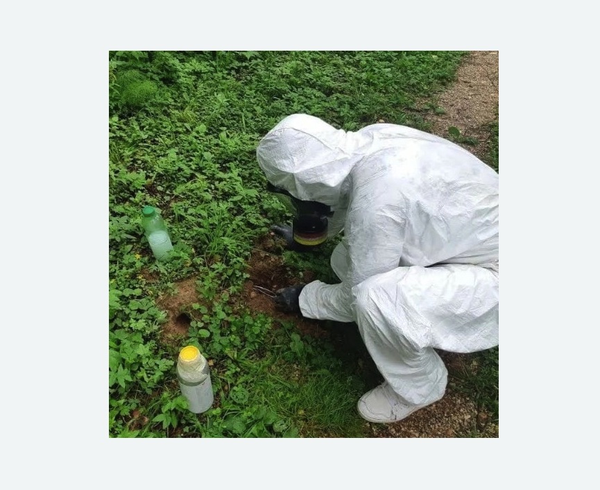 уничтожение кротов на участке в Калтане