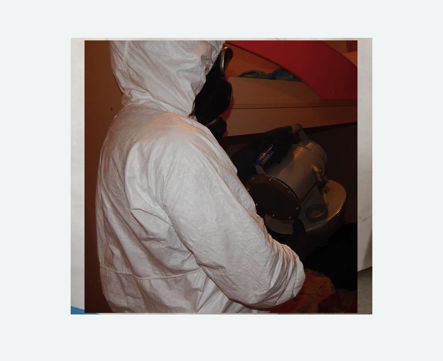 Дезинфекция от муравьев в Калтане