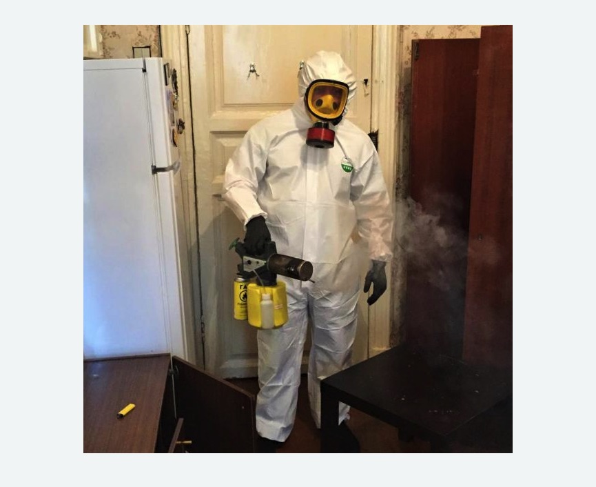 уничтожение муравьев в квартире в Калтане